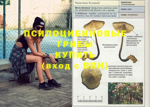 эйфоретик Абаза