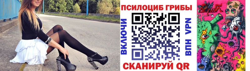 mega как войти  Тайга  Галлюциногенные грибы MAGIC MUSHROOMS 
